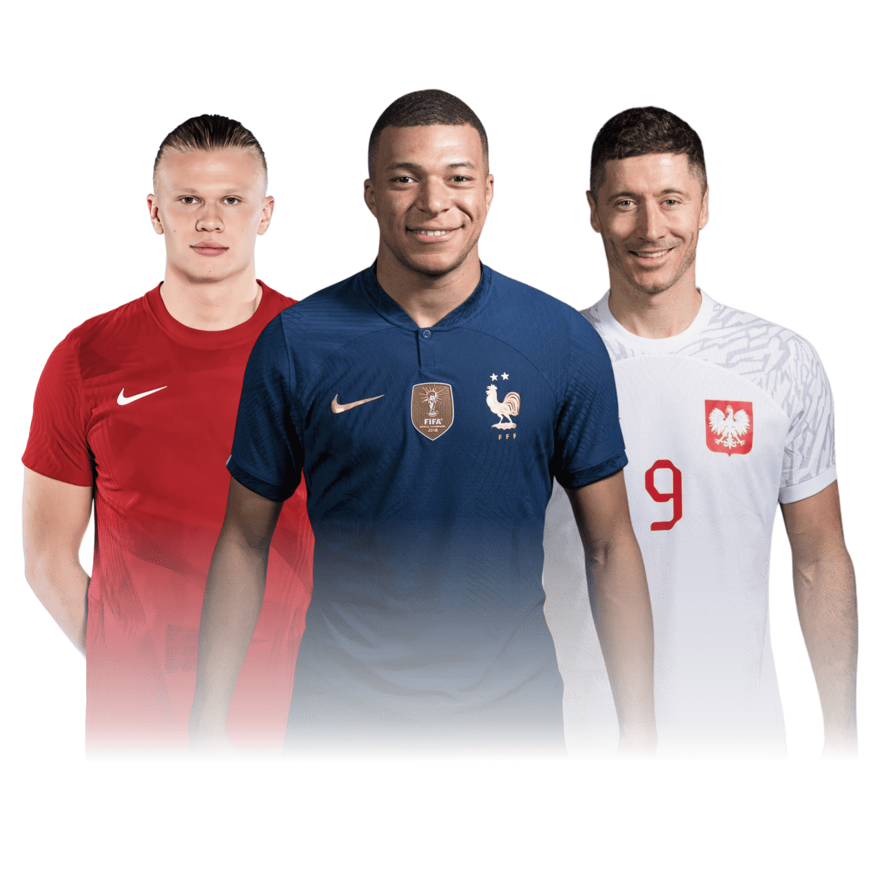 大黄蜂信徒